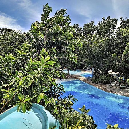 Dominiks Quite And Elegant Studio Ocean View Pool At Tambuli Resort High Floor Мактан Экстерьер фото