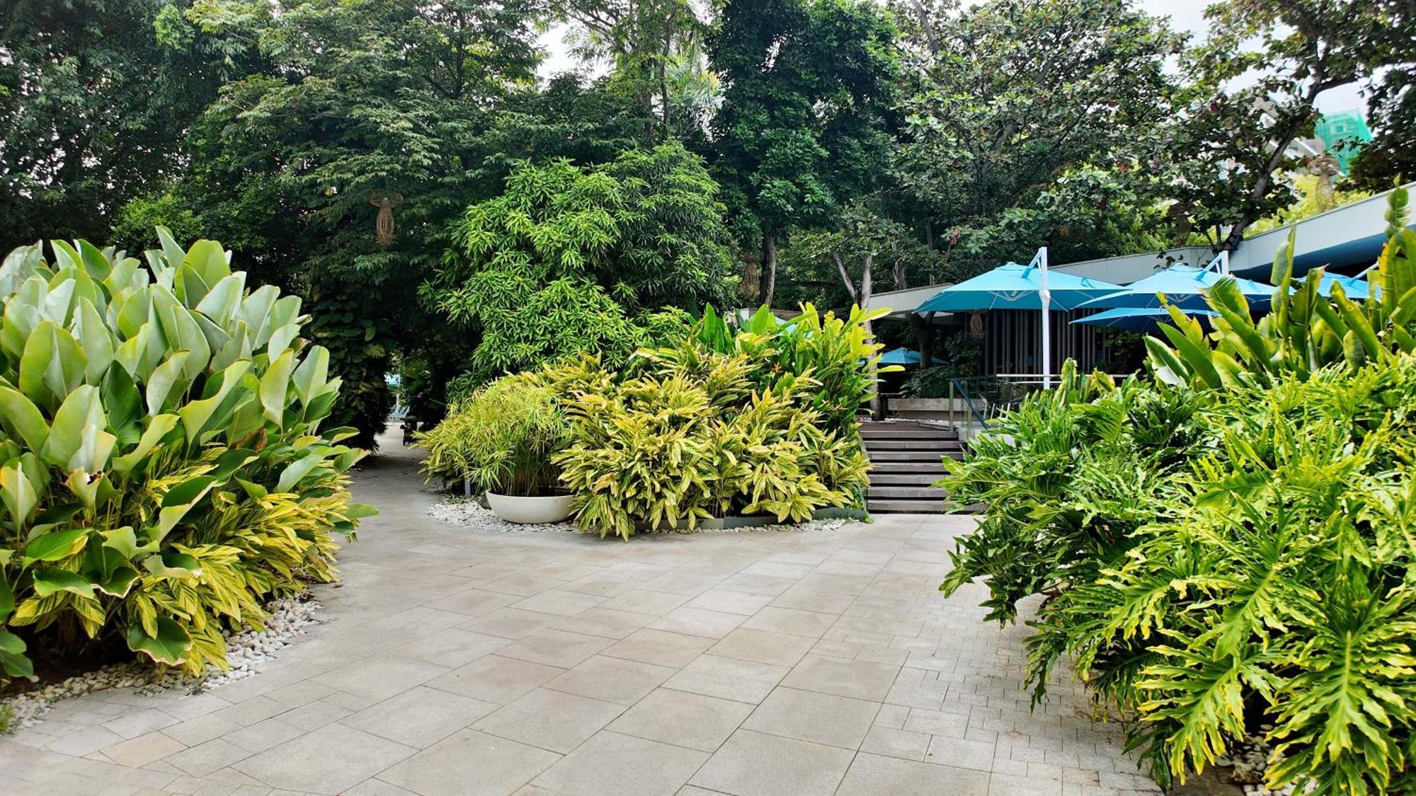 Dominiks Quite And Elegant Studio Ocean View Pool At Tambuli Resort High Floor Мактан Экстерьер фото